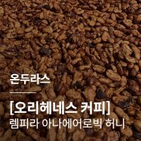 [온두라스] [오리헤네스 커피] 렘피라 아나에어로빅 허니