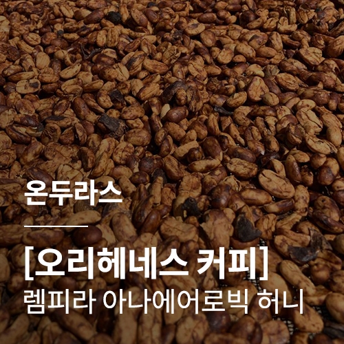 [온두라스] [오리헤네스 커피] 렘피라 아나에어로빅 허니