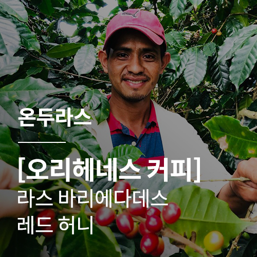 [온두라스] [오리헤네스 커피] 라스 바리에다데스 아나에어로빅 레드 허니