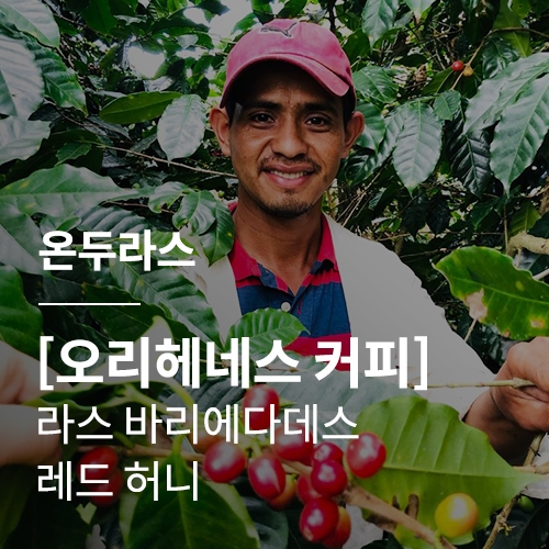 [온두라스] [오리헤네스 커피] 라스 바리에다데스 아나에어로빅 레드 허니