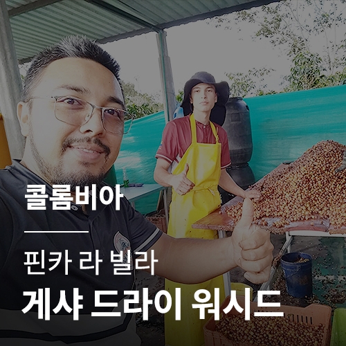 [콜롬비아] 핀카 라 빌라 게샤 드라이 워시드