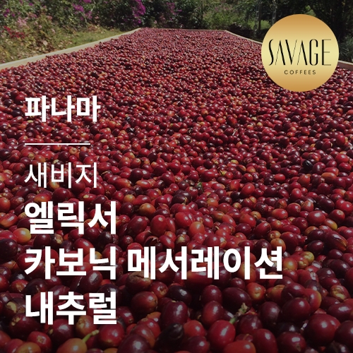 [파나마] [새비지] 엘릭서 카보닉 메서레이션 내추럴☆아울렛☆