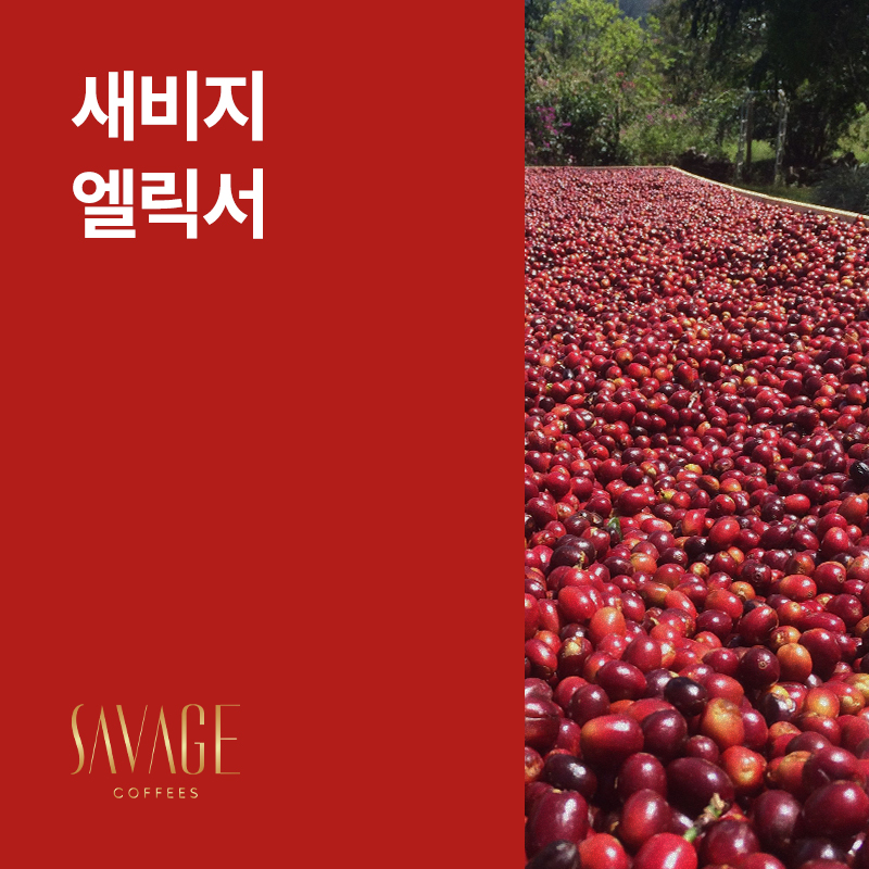 파나마 새비지 엘릭서 카보닉 메서레이션 내추럴 · 아울렛