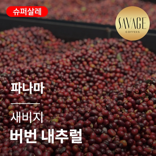 [파나마] [새비지] 버번 내추럴 &middot; 슈퍼살레