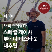 [파나마] [라 에스메랄다] 스페셜 게이샤 부에나 비스타 2 내추럴☆아울렛☆
