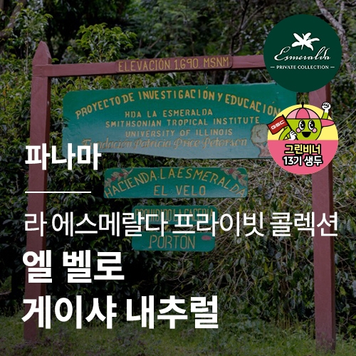 파나마 라 에스메랄다 프라이빗 콜렉션 엘 벨로 게이샤 내추럴 · 아울렛