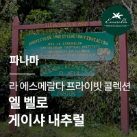 [파나마] [라 에스메랄다] 프라이빗 콜렉션 엘 벨로 게이샤 내추럴