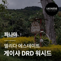 [파나마] [엘리다 에스테이트] 게이샤 DRD 워시드☆아울렛☆