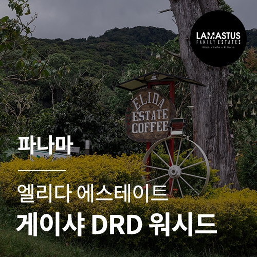 [파나마] [엘리다 에스테이트] 게이샤 DRD 워시드☆아울렛☆