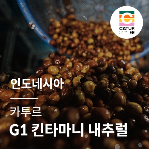 [인도네시아] [카투르] G1 킨타마니 내추럴