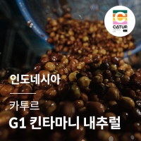 [인도네시아] [카투르] G1 킨타마니 내추럴