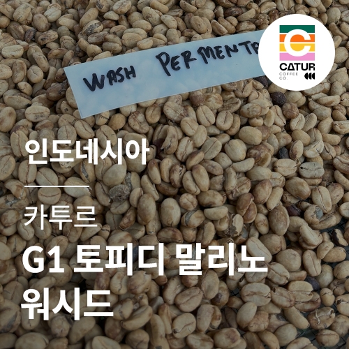 [인도네시아] [카투르] G1 토피디 말리노 워시드