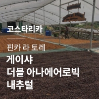 [코스타리카] 핀카 라 토레 게이샤 더블 아나에어로빅 내추럴