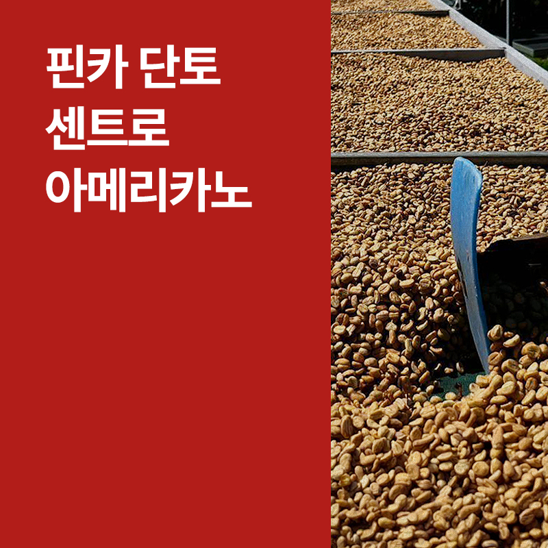 코스타리카 핀카 단토 센트로아메리카노 라이트 허니