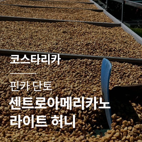 코스타리카 핀카 단토 센트로아메리카노 라이트 허니 · 6월세일