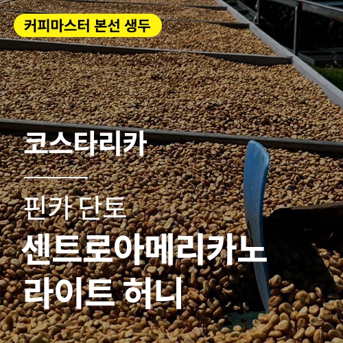 코스타리카 핀카 단토 센트로아메리카노 라이트 허니 · 본선생두