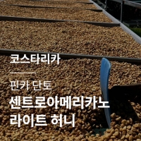 [코스타리카] 핀카 단토 센트로아메리카노 라이트 허니