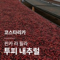 [코스타리카] 핀카 라 필라 투피 내추럴