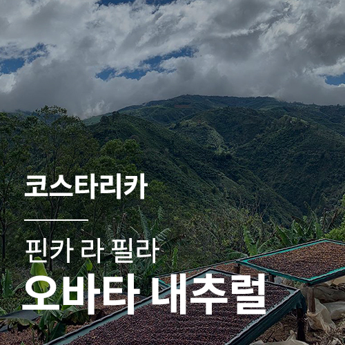 [코스타리카] 핀카 라 필라 오바타 내추럴