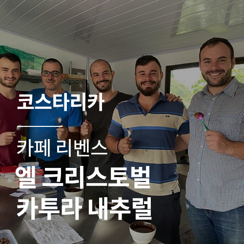 [코스타리카] [카페 리벤스] 엘 크리스토벌 카투라 내추럴