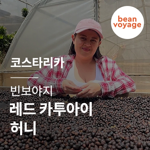 코스타리카 빈보야지 레드 카투아이 허니