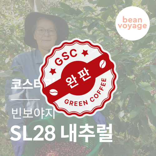 코스타리카 빈보야지 SL28 내추럴