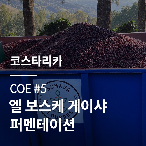 [코스타리카] [COE #5] 엘 보스케 게이샤 퍼멘테이션