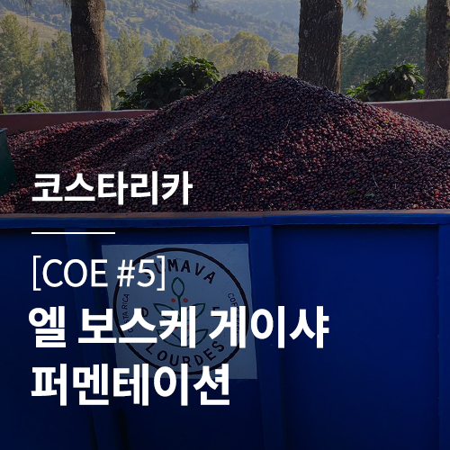 [코스타리카] [COE #5] 엘 보스케 게이샤 퍼멘테이션