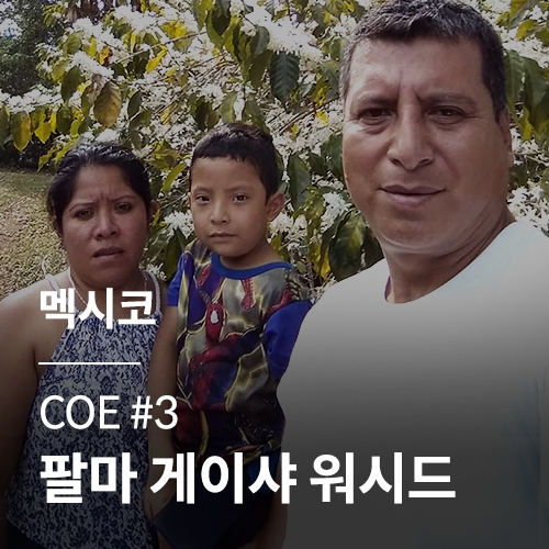 [멕시코] [COE #3] 팔마 게이샤 워시드