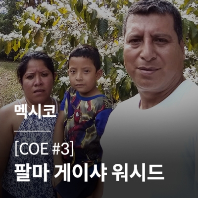 [멕시코] [COE #3] 팔마 게이샤 워시드