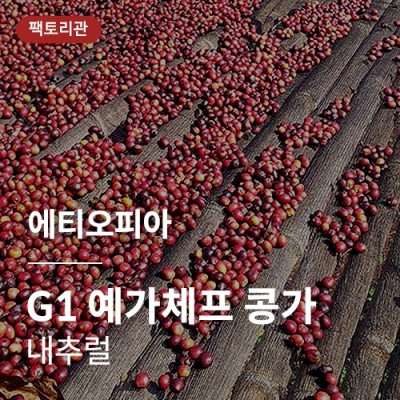 [에티오피아] G1 예가체프 콩가 내추럴★20KG세일★