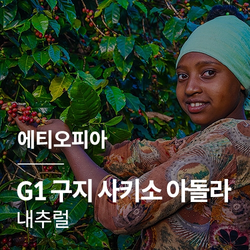 [에티오피아] G1 구지 사키소 아돌라 내추럴