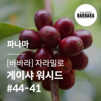 [파나마] [바바라] 자라밀로 게이샤 워시드 #44-41