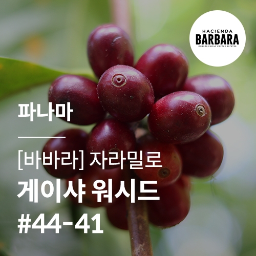 [파나마] [바바라] 자라밀로 게이샤 워시드 #44-41
