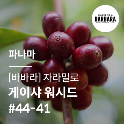 [파나마] [바바라] 자라밀로 게이샤 워시드 #44-41★스페셜세일★