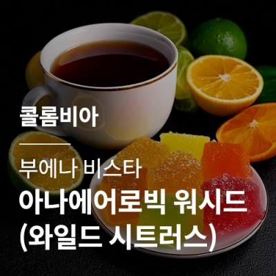 [콜롬비아] 부에나 비스타 아나에어로빅 워시드 (와일드 시트러스)