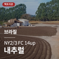 [브라질] NY2/3 FC 14up 내추럴★20KG세일★