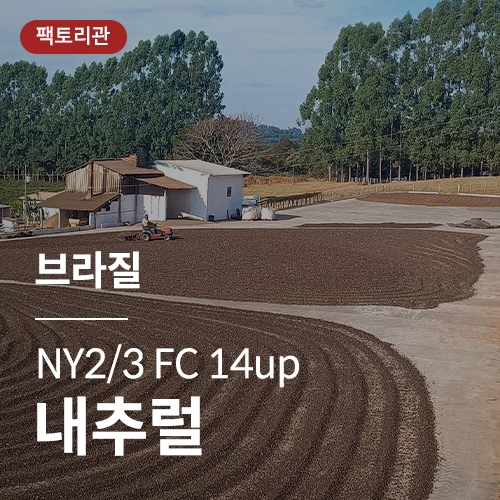 [브라질] NY2/3 FC 14up 내추럴★20KG세일★
