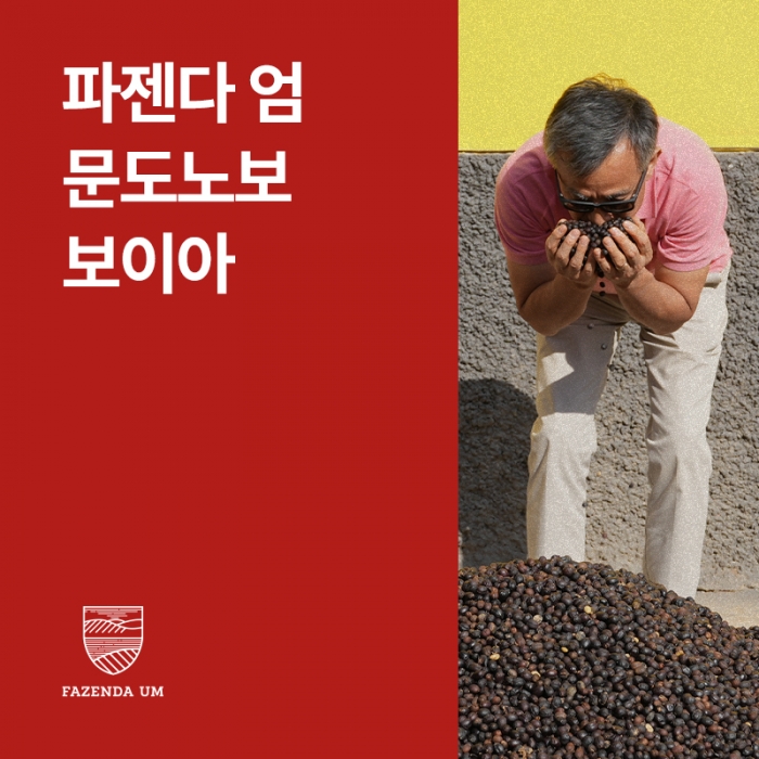 브라질 파젠다 엄 보이아 문도노보 내추럴