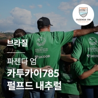 브라질 [파젠다 엄] 카투카이785 펄프드 내추럴