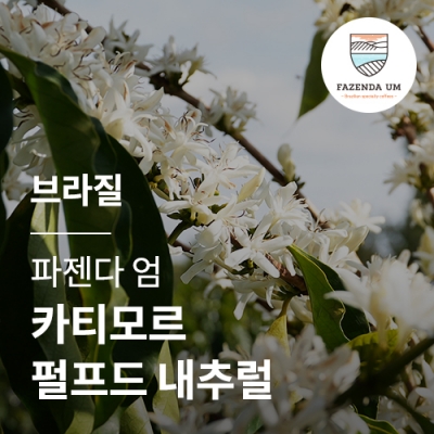 브라질 [파젠다 엄] 카티모르 펄프드 내추럴 · 어텀세일