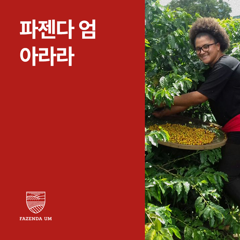 브라질 파젠다 엄 아라라 펄프드 내추럴