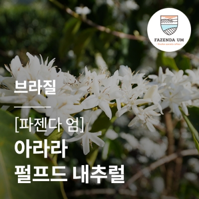 브라질 [파젠다 엄] 아라라 펄프드 내추럴