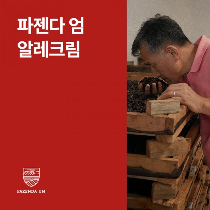 브라질 파젠다 엄 알레크림 다크룸 &middot; 아울렛