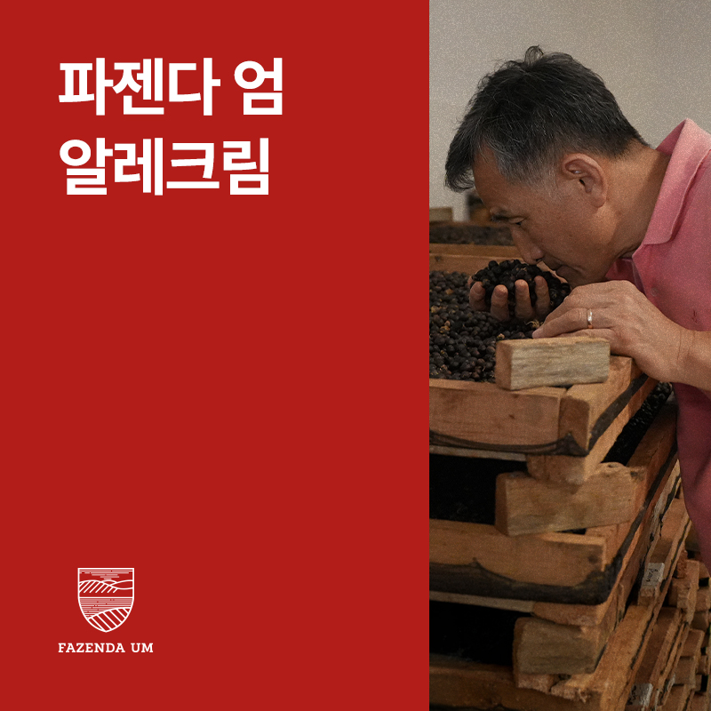 브라질 파젠다 엄 알레크림 다크룸 &middot; 아울렛