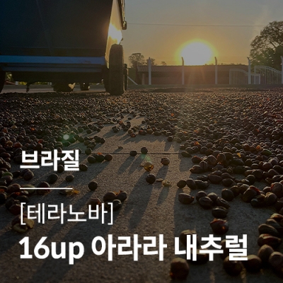 [브라질] [테라 노바] 16up 아라라 내추럴