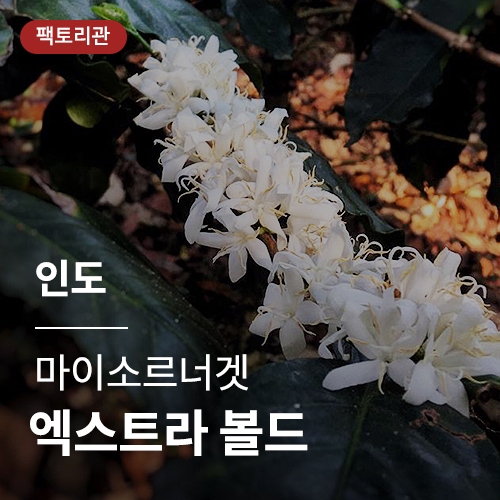 [인도] 마이소르너겟 엑스트라 볼드★20KG세일★