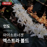 [인도] 마이소르너겟 엑스트라 볼드★20KG세일★