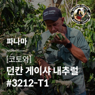[파나마] [코토와] 던칸 게이샤 내추럴 #3212-T1