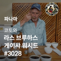 파나마 코토와 라스 브루하스 게이샤 워시드 #3028